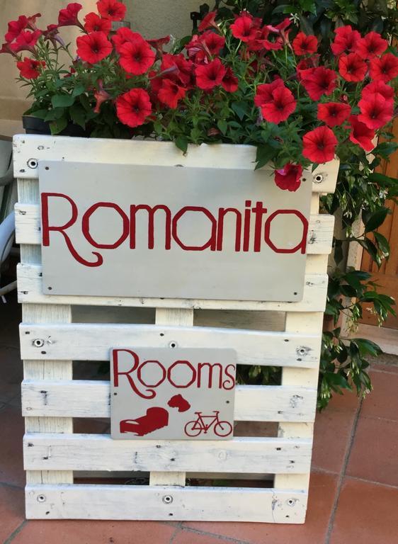Camere E Appartamenti Baldini Romanita Radda in Chianti Exteriör bild